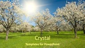  Presentation with orchard - Theme having apple orchard in the middle background and a tawny brown colored foreground