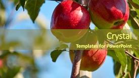  Presentation with orchard - Beautiful slides featuring apple orchard backdrop and a tawny brown colored foreground