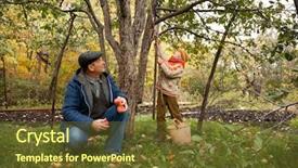 Presentation with grandfather - Colorful presentation theme enhanced with apple tree in autumnal garden backdrop and a tawny brown colored foreground