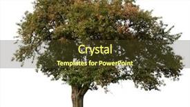  Presentation with fall - Amazing slide deck having apple tree in early fall backdrop and a tawny brown colored foreground