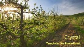  Presentation with spring tree - PPT theme featuring apple-tree-in-garden-spring background and a tawny brown colored foreground