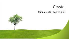  Presentation with hill - Colorful theme enhanced with apple tree on a grassy backdrop and a white colored foreground