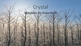  Presentation with freeze - Theme having apple-trees-covered background and a light blue colored foreground