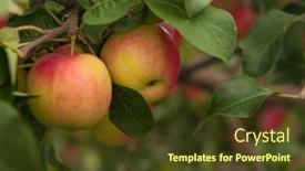  Presentation with red apple tree - PPT layouts featuring apple-trees-in-the-garden background and a tawny brown colored foreground