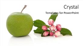  Presentation with apple flower - Slides having apple with flower blossom leaf sprig isolated over white background granny smith variety background and a white colored foreground