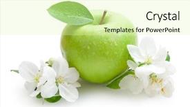  Presentation with apple flower - Theme featuring apple background and a soft green colored foreground