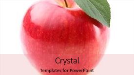  Presentation with sweet - PPT theme featuring apples apples - sweet red apple with leaf background and a coral colored foreground