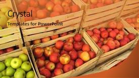 Presentation with market - Cool new PPT theme with apples in crates on market backdrop and a  colored foreground