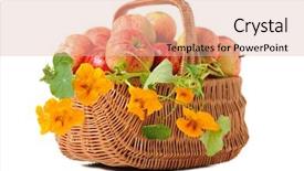  Presentation with woven - Slide deck consisting of apples in woven basket isolated background and a  colored foreground