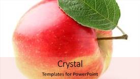  Presentation with apple - PPT layouts consisting of apples leaves - one ripe apple with leaf background and a coral colored foreground