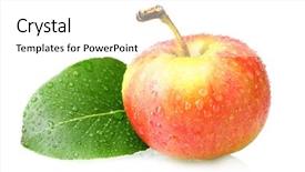  Presentation with ripe golden potato on white - Beautiful presentation featuring apples leaves - ripe tasty apple isolated backdrop and a white colored foreground