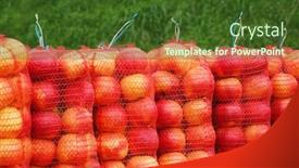  Presentation with fruit farm - Presentation design consisting of apples organic fruit in sacks market outdoor farm background and a tawny brown colored foreground
