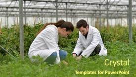  Presentation with apprentice - Cool new presentation with apprentice-in-greenhouse-checking-plants backdrop and a tawny brown colored foreground