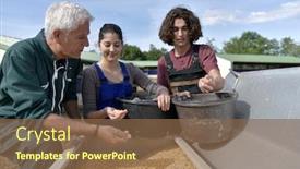  Presentation with apprentice - Audience pleasing PPT theme consisting of apprentice-with-senior-farmer backdrop and a tawny brown colored foreground