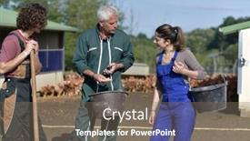  Presentation with apprentice - Slides consisting of apprentice-with-senior-farmer background and a violet colored foreground