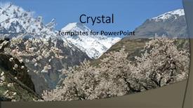  Presentation with apricot - Beautiful slides featuring apricot blossom in himalayas backdrop and a teal colored foreground