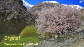  Presentation with ladakh - Amazing slide set having apricot-blossom-in-trans-himalayas backdrop and a tawny brown colored foreground