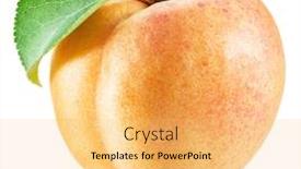  Presentation with apricot - Beautiful slides featuring apricot-fruit-with-apricot-leaf backdrop and a yellow colored foreground