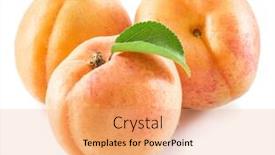  Presentation with apricot - PPT theme featuring apricot-fruit-with-apricot-leaf background and a coral colored foreground