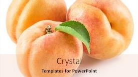  Presentation with apricot - Beautiful presentation theme featuring apricot-fruit-with-apricot-leaf backdrop and a coral colored foreground