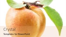 Presentation with apricot - Beautiful PPT layouts featuring apricot-fruit-with-leaves backdrop and a yellow colored foreground