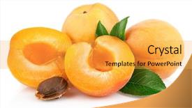  Presentation with guava fruits fresh green fruit - PPT theme with apricot fruits with green leaf background and a yellow colored foreground