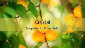  Presentation with organic fruits and leafy greens - Slide set consisting of city map destination route way background and a light blue colored foreground