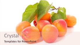  Presentation with apricot - Cool new theme with apricot-isolated-on-white backdrop and a lemonade colored foreground