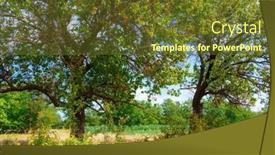  Presentation with vegetable garden - Presentation theme with apricot-trees-at-the-edge background and a tawny brown colored foreground