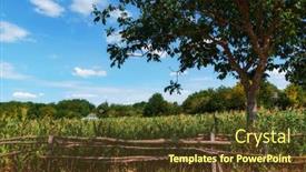  Presentation with vegetable garden - Slide set featuring apricot-trees-at-the-edge background and a tawny brown colored foreground