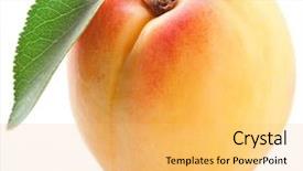  Presentation with apricot - PPT theme having apricot with apricote leaf isolated background and a yellow colored foreground