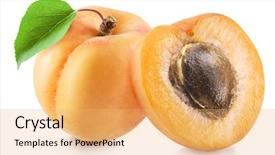  Presentation with apricot - Presentation theme enhanced with apricots - ripe apricot fruit and apricot background and a yellow colored foreground