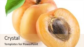  Presentation with apricot - Slide set enhanced with apricots - ripe apricot fruit and apricot background and a yellow colored foreground