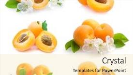  Presentation with apricot - PPT theme enhanced with apricots collection background and a blonde colored foreground