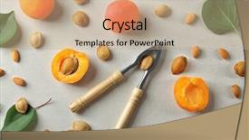  Presentation with composition of earth - Colorful PPT layouts enhanced with apricots kernels and nutcracker backdrop and a  colored foreground