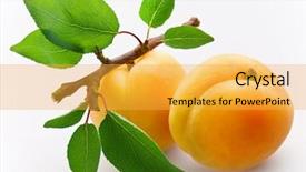  Presentation with apricot - Presentation having apricots with leaves background and a yellow colored foreground