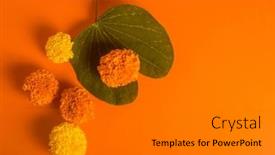  Presentation with gold leaves - Presentation design with apte-leaves-which-is-used and a gray colored foreground