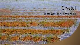  Presentation with irrigation - PPT theme featuring aqua culture - rice fields irrigation with sprouts background and a light blue colored foreground