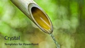 Presentation with traditional japan - Presentation theme consisting of aqua culture - traditional bamboo fountain in japan background and a yellow colored foreground