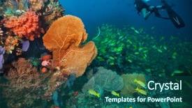  Presentation with coral reef - Amazing PPT layouts having aqua orange - scuba divers exploring coral reef backdrop and a ocean colored foreground