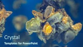  Presentation with aquaculture - PPT theme consisting of aquaculture-of-the-oyster-under background and a ocean colored foreground