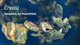  Presentation with oyster - Slide deck having aquaculture-of-the-oyster-under background and a ocean colored foreground
