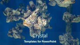  Presentation with aquaculture - Presentation theme featuring aquaculture-of-the-oyster-under background and a  colored foreground