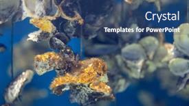  Presentation with oyster - Presentation theme consisting of aquaculture-of-the-oyster-under background and a  colored foreground