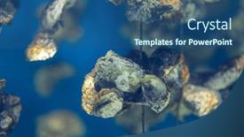  Presentation with aquaculture - PPT theme consisting of aquaculture-of-the-oyster-under background and a ocean colored foreground