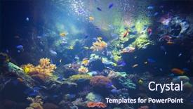  Presentation with underwater - Amazing PPT layouts having aquarium background with underwater plant backdrop and a ocean colored foreground