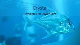  Presentation with uae - Slides with aquarium in dubai mall uae background and a cyan colored foreground