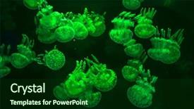  Presentation with manila - Amazing presentation theme having aquarium in manila ocean park backdrop and a forest green colored foreground