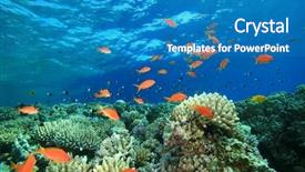  Presentation with aquatic ecosystem - Beautiful presentation featuring aquatic ecosystem - coral reef backdrop and a teal colored foreground