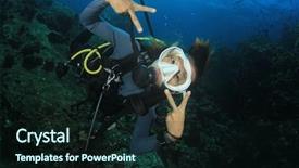  Presentation with aquatic ecosystem - Presentation theme having aquatic ecosystem - scuba dive young asian woman background and a wine colored foreground